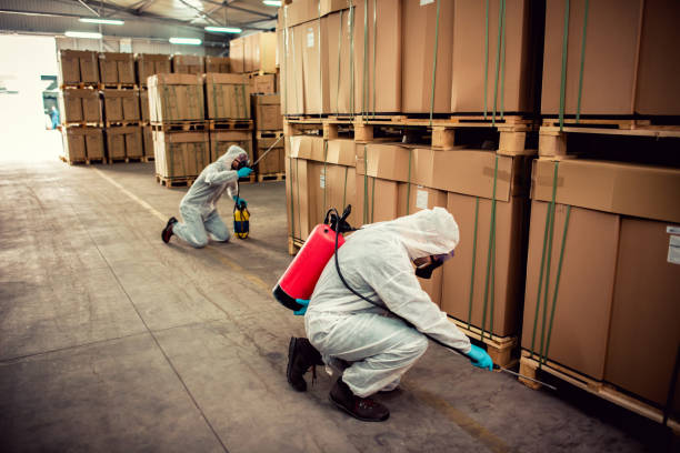 Pest Prevention Services in Berlin, WI