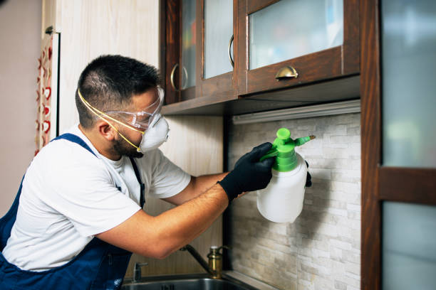 Best Termite Control Services  in Berlin, WI