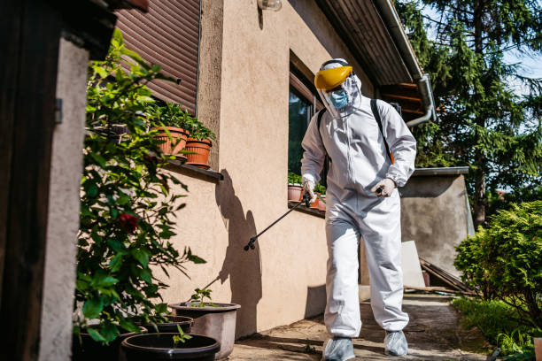Best Mosquito Control Services  in Berlin, WI
