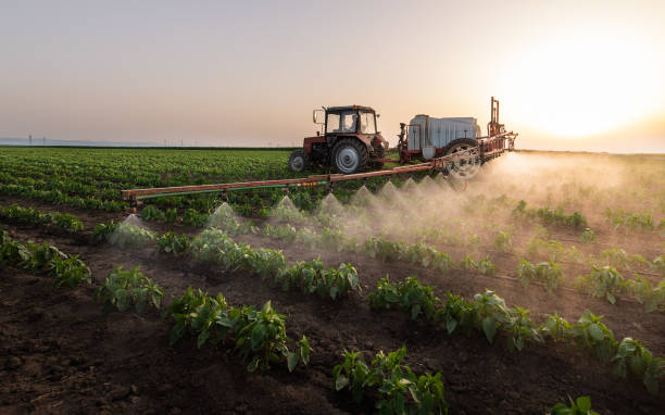 Best Pest Prevention Services  in Berlin, WI